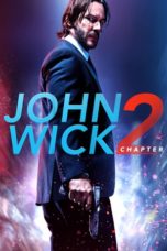 John Wick: Chapter 2 (2017)