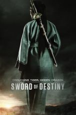 Crouching Tiger, Hidden Dragon: Sword of Destiny (2016)