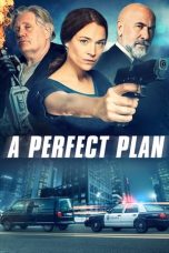 Download Streaming Film A Perfect Plan (2020) Subtitle Indonesia