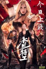 Download Streaming Film Mulan Angels 2: Treasure Map (2020) Subtitle Indonesia HD Bluray