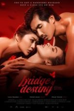 Download Streaming Film Bridge of Destiny (2020) Subtitle Indonesia HD Bluray