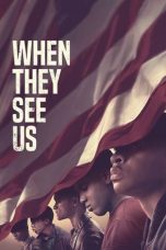 When They See Us (2019)